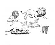 Coloriage animaux afrique