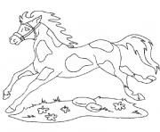 Coloriage cheval et chien