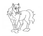 Coloriage cheval sauvage