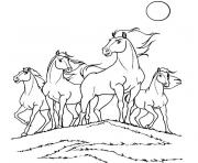 Coloriage cheval spirit