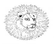 Coloriage mandala lion