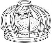 Coloriage hedwige chouette en cage