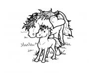 Coloriage cheval et poney