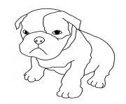 Coloriage chiot boxer