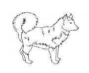 Coloriage chiot husky