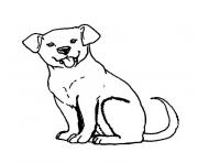 Coloriage chiot labrador