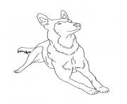 Coloriage chiot berger allemand