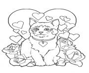 Coloriage chaton siamois