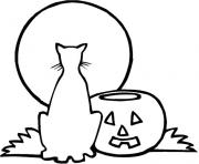 Coloriage halloween chat