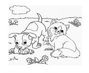 Coloriage chaton et chiot