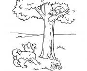 Coloriage chiot et chaton