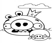 Coloriage deux angry birds cochons peureux