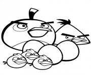 Coloriage angry birds petite famille de oiseau