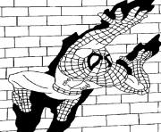 Coloriage spiderman 15