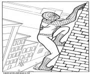 Coloriage spiderman 244