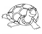 Coloriage bebe tortue