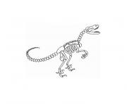 Coloriage dinosaure squelette