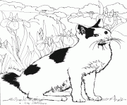 Coloriage Un chat dans le jardin