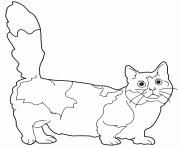 Coloriage chat Munchkin