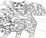 Coloriage deux chats sur des marches