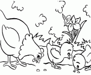 Coloriage paques poule et des poussins qui picorent