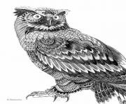 Coloriage difficile adulte hibou animaux