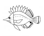 Coloriage poisson mer