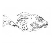 Coloriage poisson barracuda