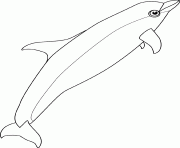 Coloriage baleine bottlenose