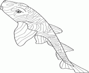 Coloriage zebra bullhead shark