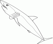 Coloriage mako shark