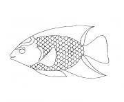 Coloriage poisson 222