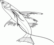 Coloriage tripodfish