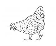 Coloriage une poule