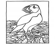 Coloriage oiseaux marins