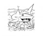 Coloriage requin