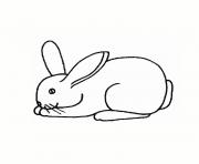 Coloriage lapin blanc