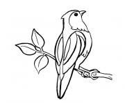 Coloriage oiseau perche