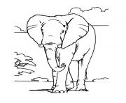 Coloriage elephant d afrique