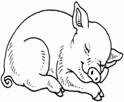 Coloriage cochon qui dort