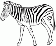 Coloriage zebre