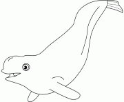 Coloriage baleine blanche beluga