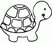 Coloriage tortue de profil