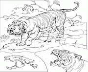 Coloriage le tigre