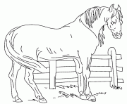 Coloriage cheval et barriere