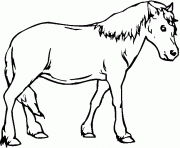 Coloriage coloriage de cheval