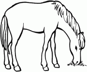 Coloriage cheval qui mange