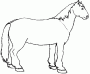 Coloriage un cheval de trait