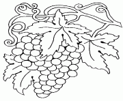 Coloriage fruit 196