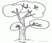 Coloriage arbre 113